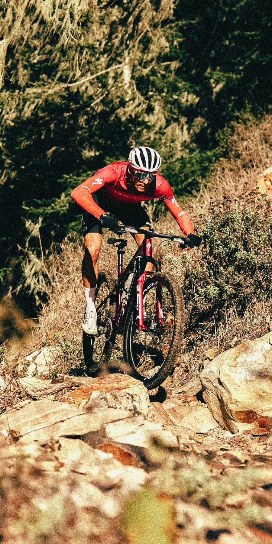 Specialized-Epic-9-Steed-Cycles-Homepage-Mobile.avif