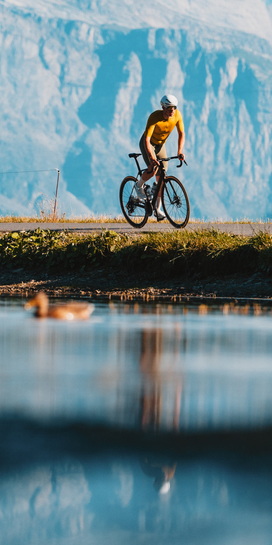 Steed-Cycles-Cervelo-R5-Mobile.jpg