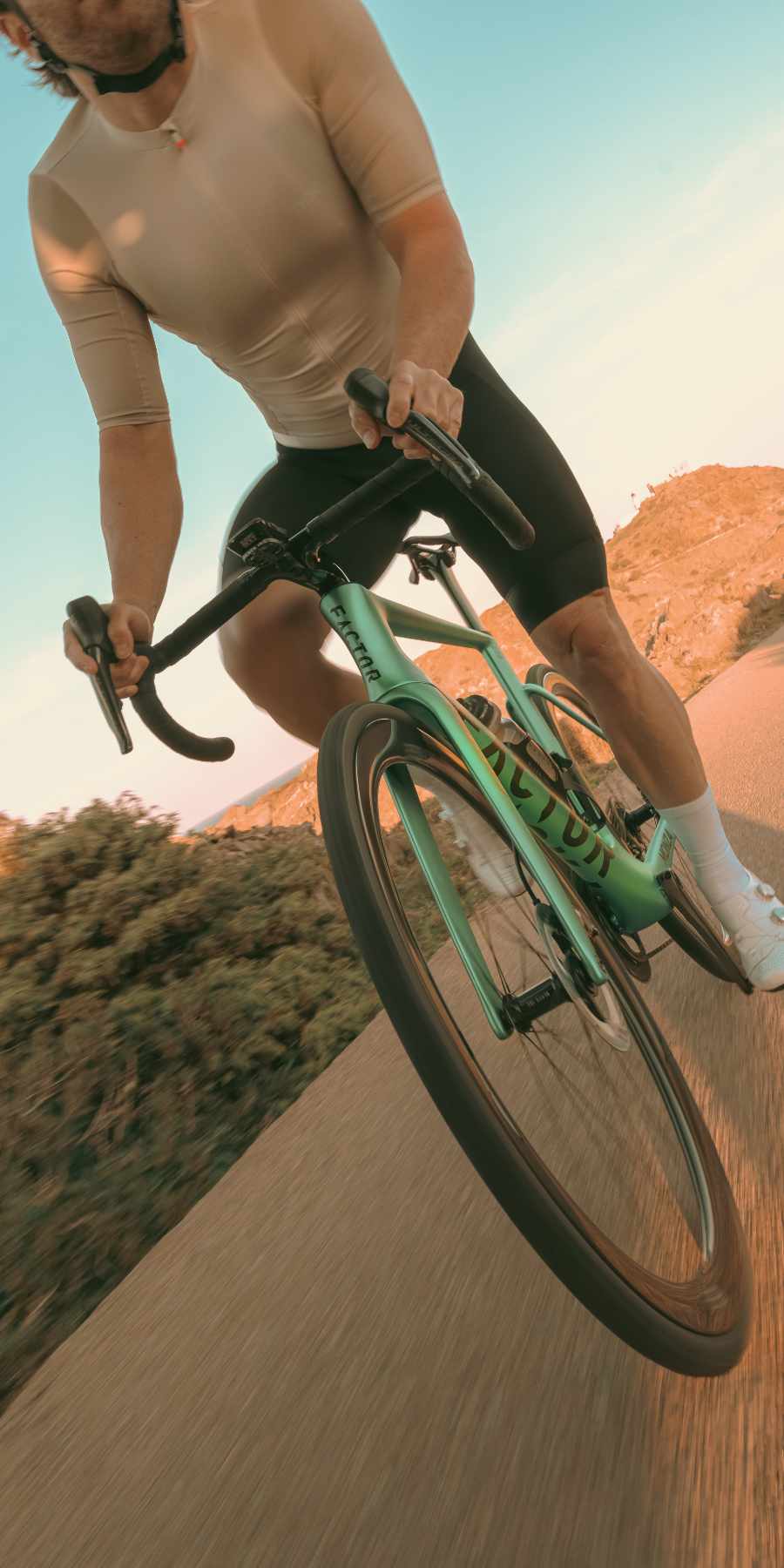 Steed-Cycles-Factor-Monza-Mobile-Header.jpg