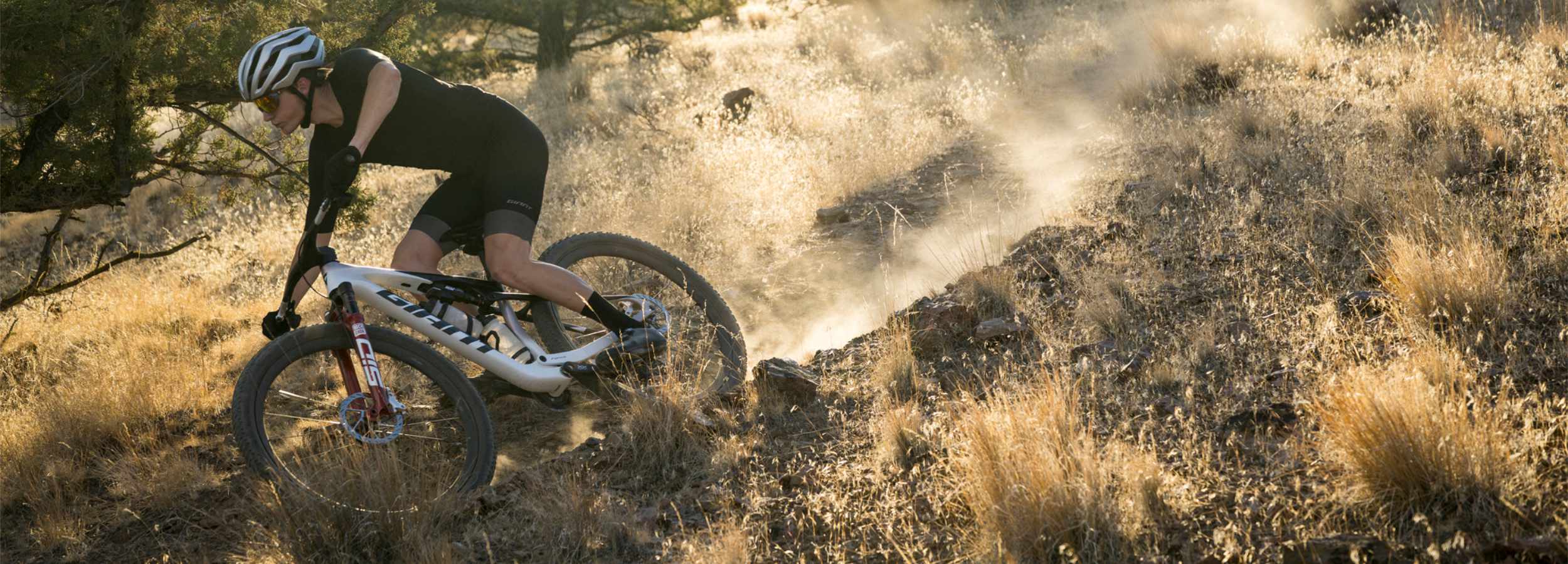 Giant Anthem | Steed Cycles