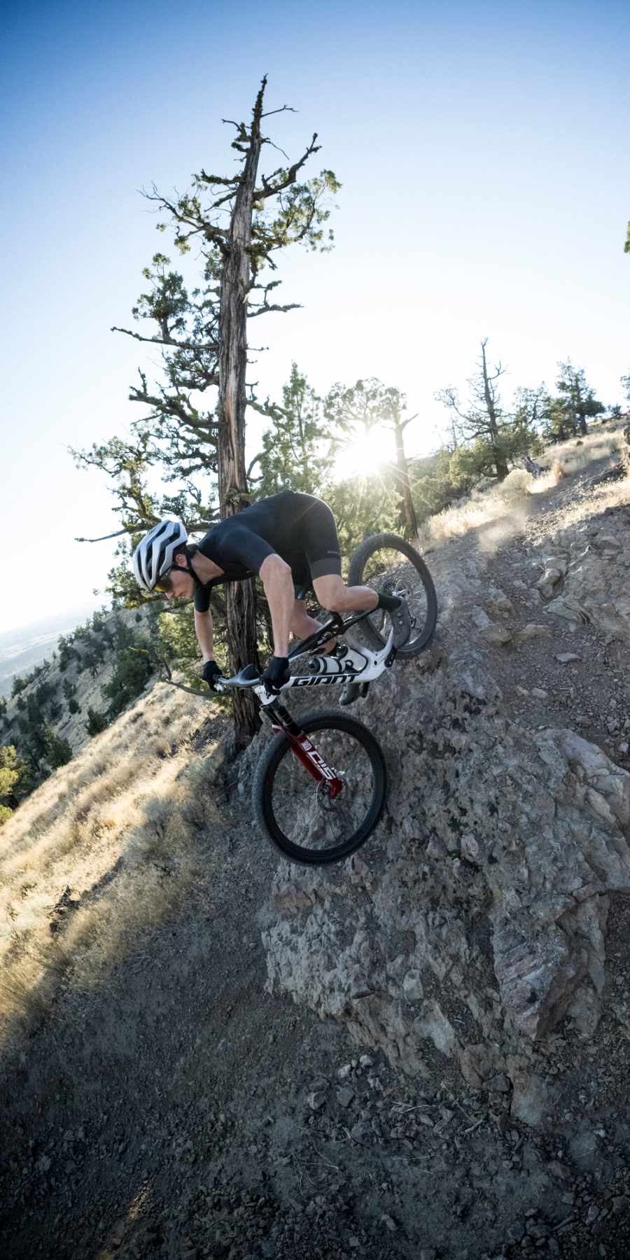 Steed-Cycles-Giant-Anthem-SL-Mobile-Header.jpg