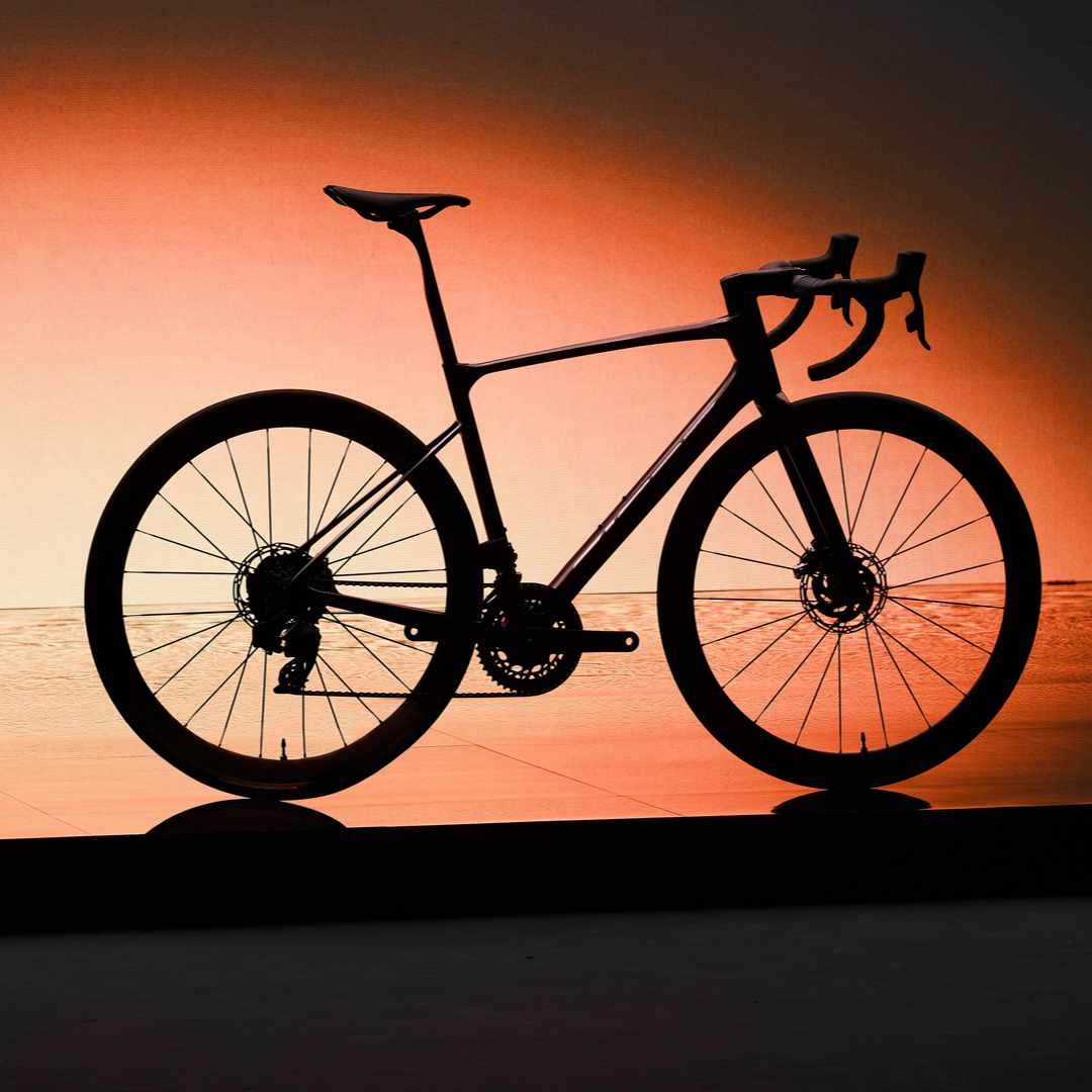 Giant Defy | Steed Cycles