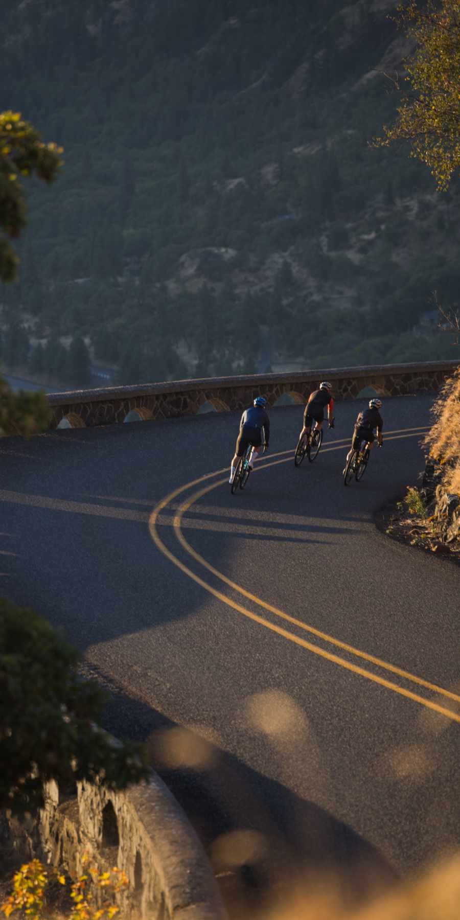 Giant Defy | Steed Cycles