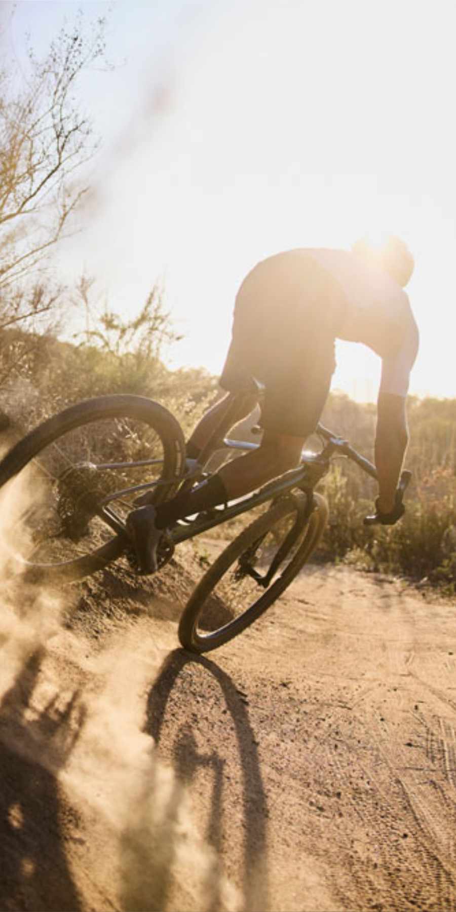Steed-Cycles-Giant-Revolt-X-Mobile-Header.jpg
