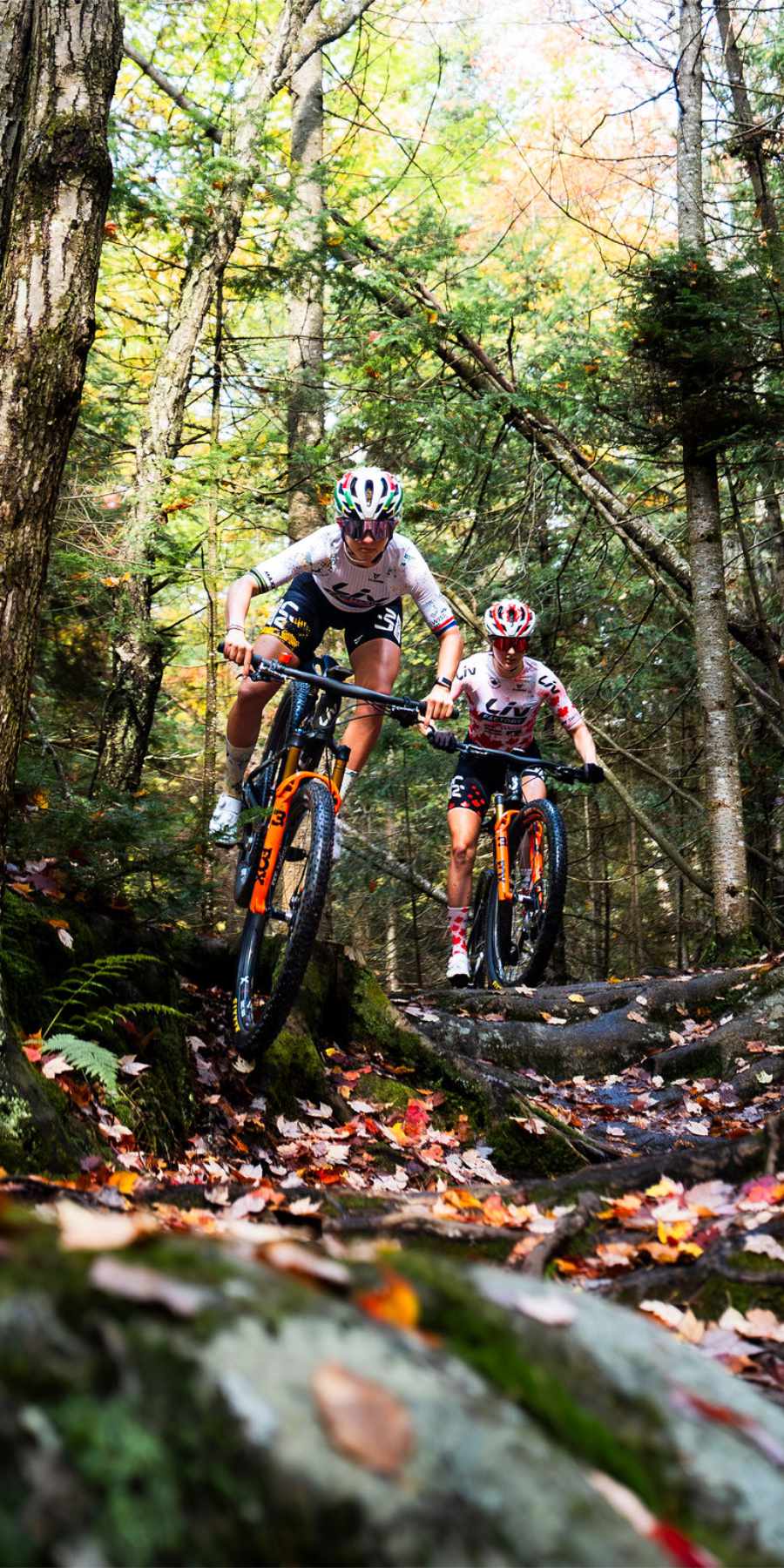 Steed-Cycles-Liv-Pique-SL-Mobile-Header.jpg