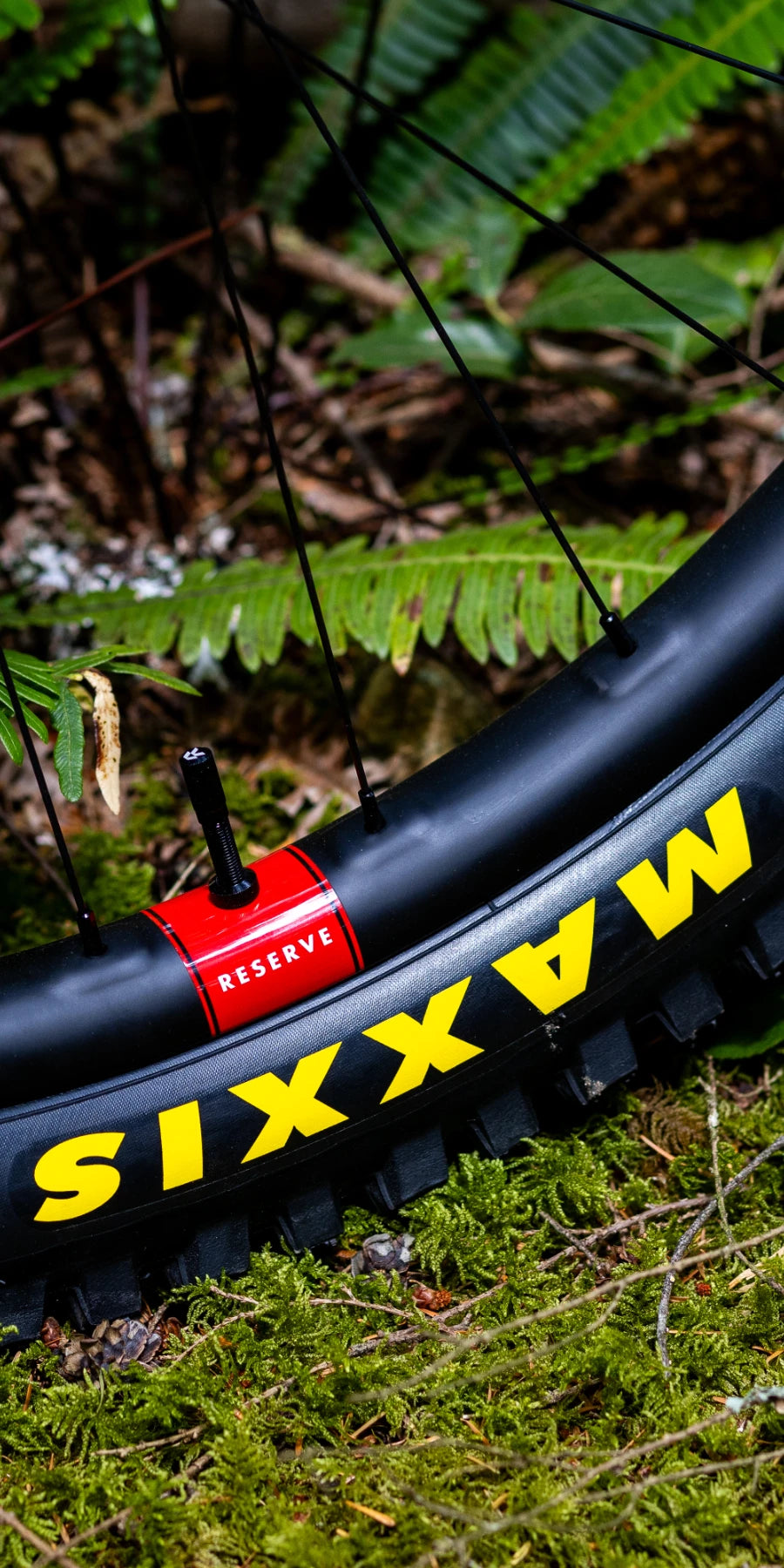 Steed-Cycles-Maxxis-Sale-Homepage-Mobile.webp