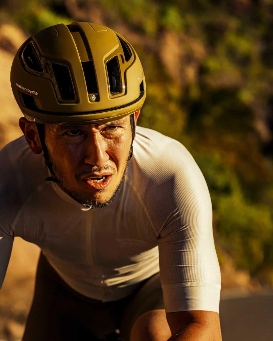 Pas Normal Studios | Steed Cycles