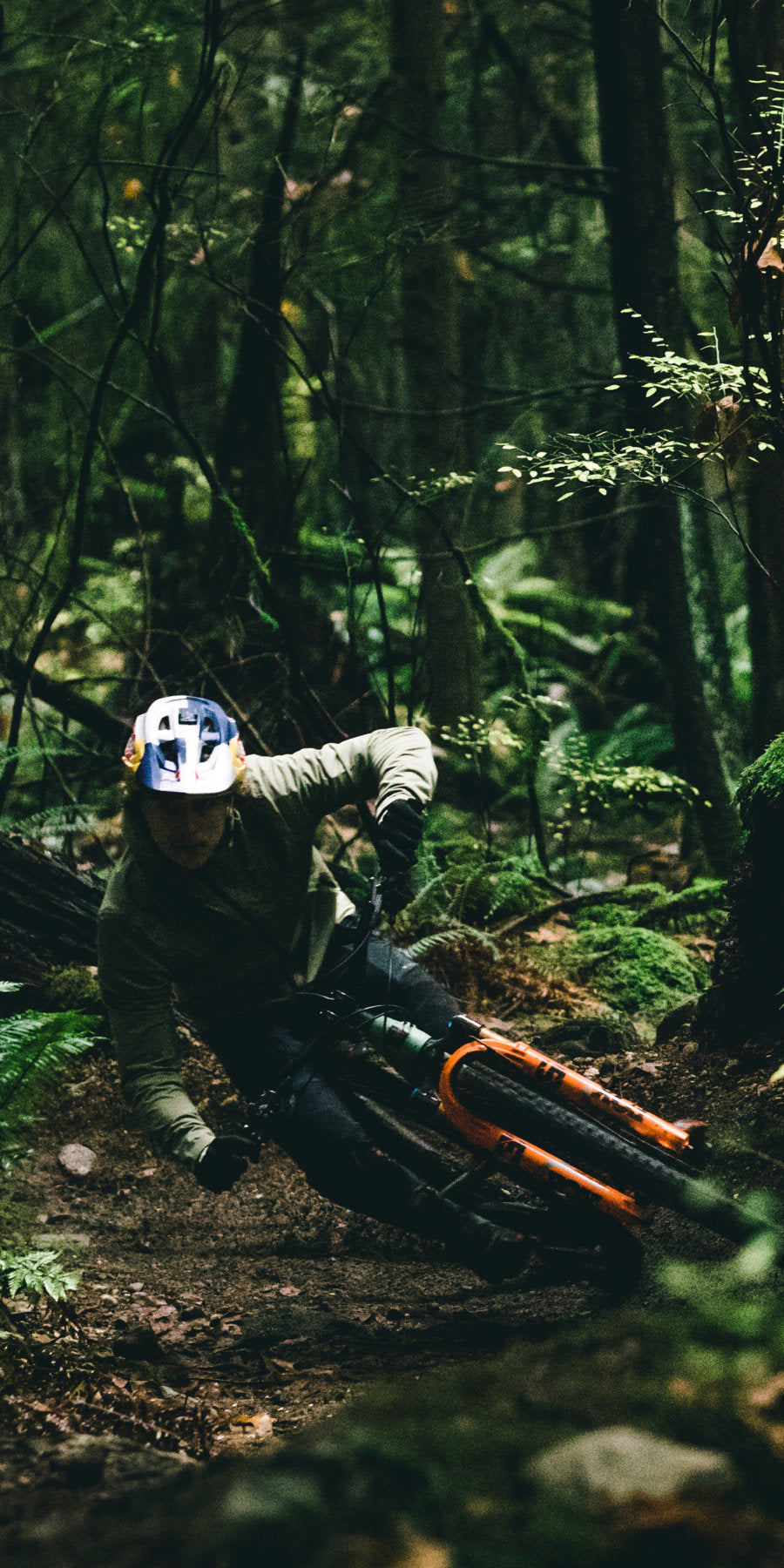 Steed-Cycles-Santa-Cruz-5010-Mobile.jpg