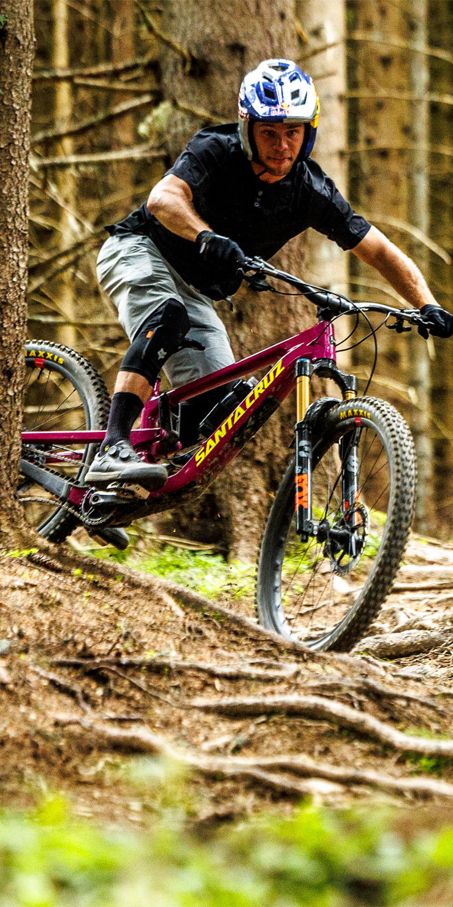 Steed-Cycles-Santa-Cruz-Bronson-5-Mobile.jpg