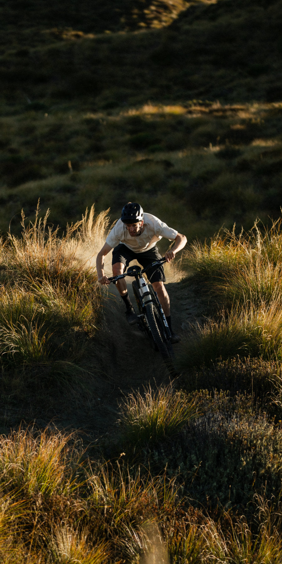Steed-Cycles-Santa-Cruz-Tallboy-Mobile.jpg