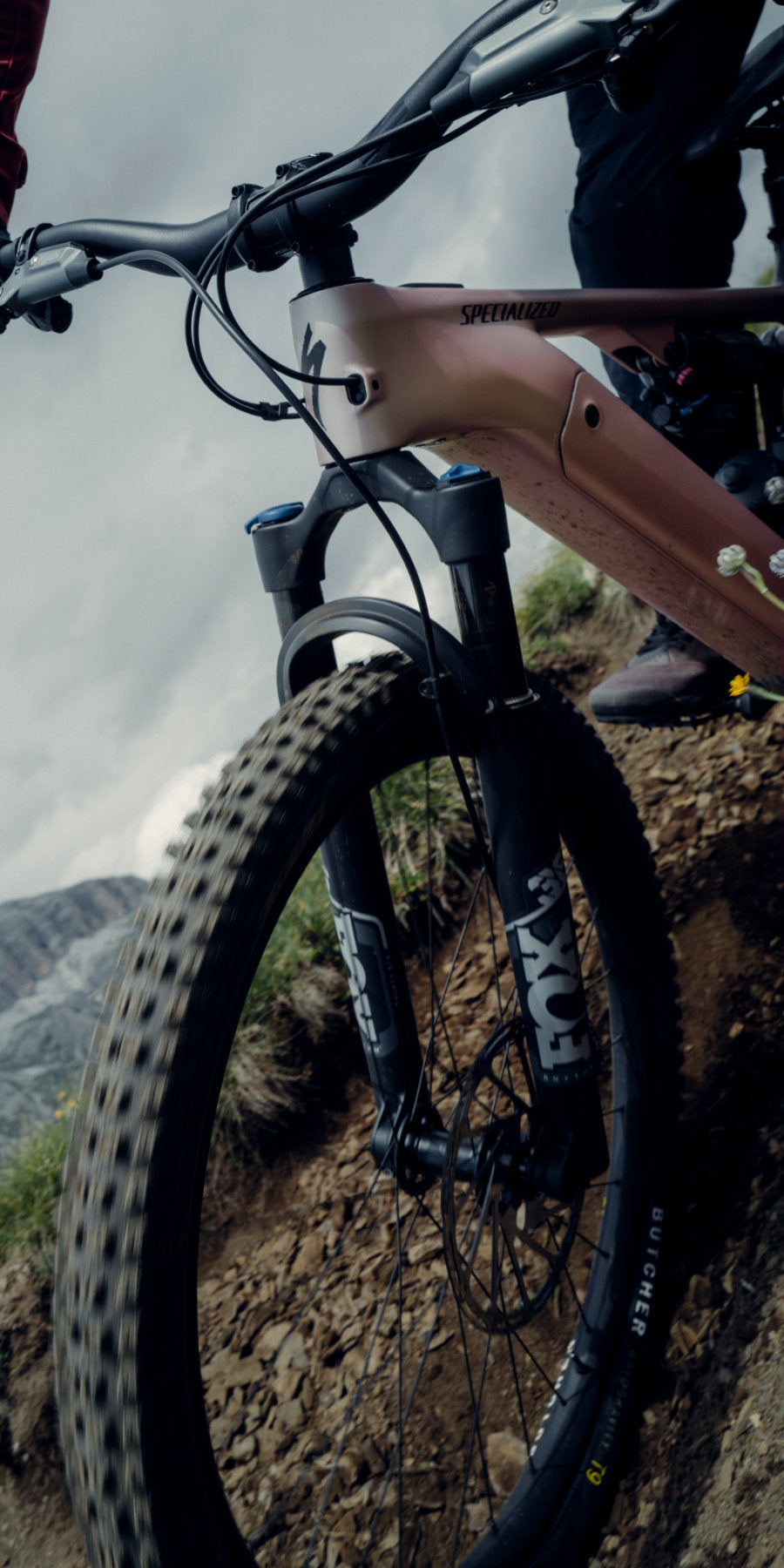 Steed-Cycles-Specialized-Canada-Mobile.jpg