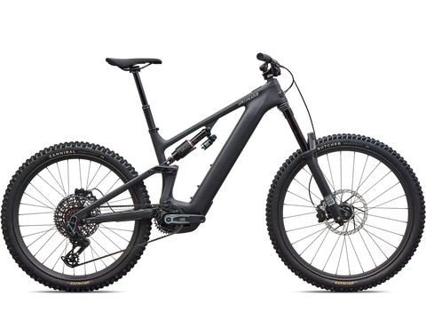 Levo EVO Color 1