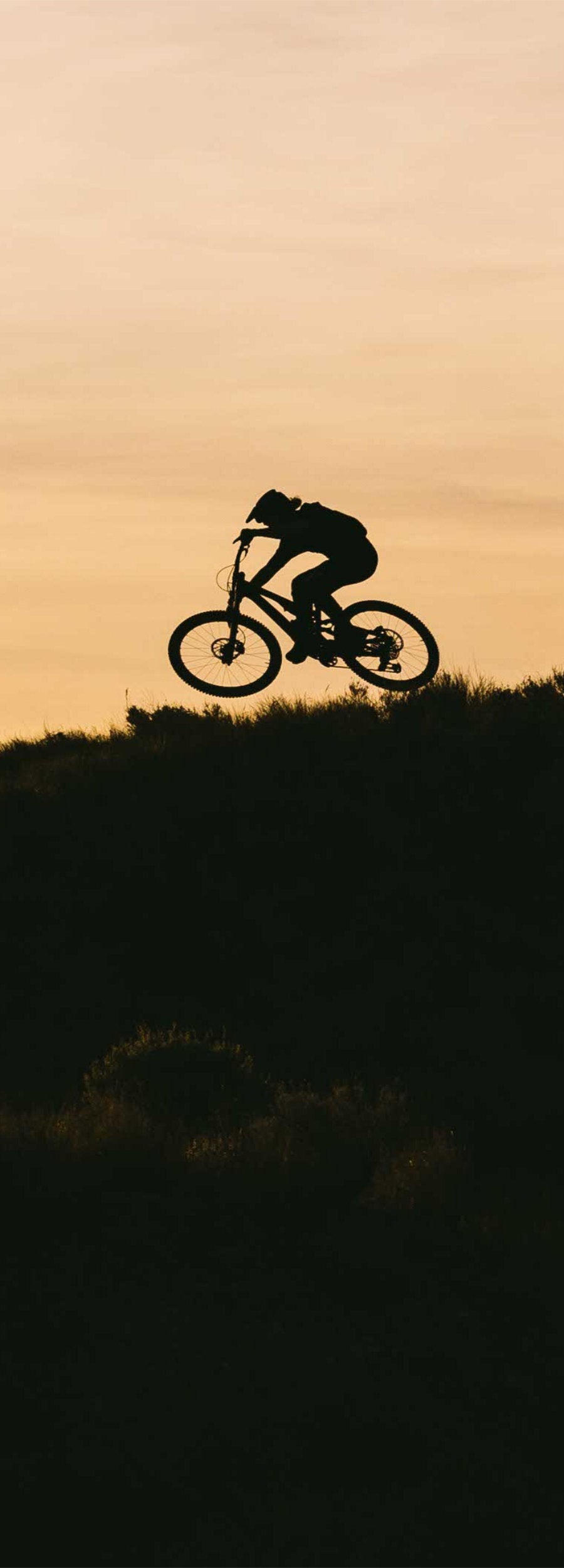 Steed-Cycles-Specialized-Specialized-15-Mobile.jpg