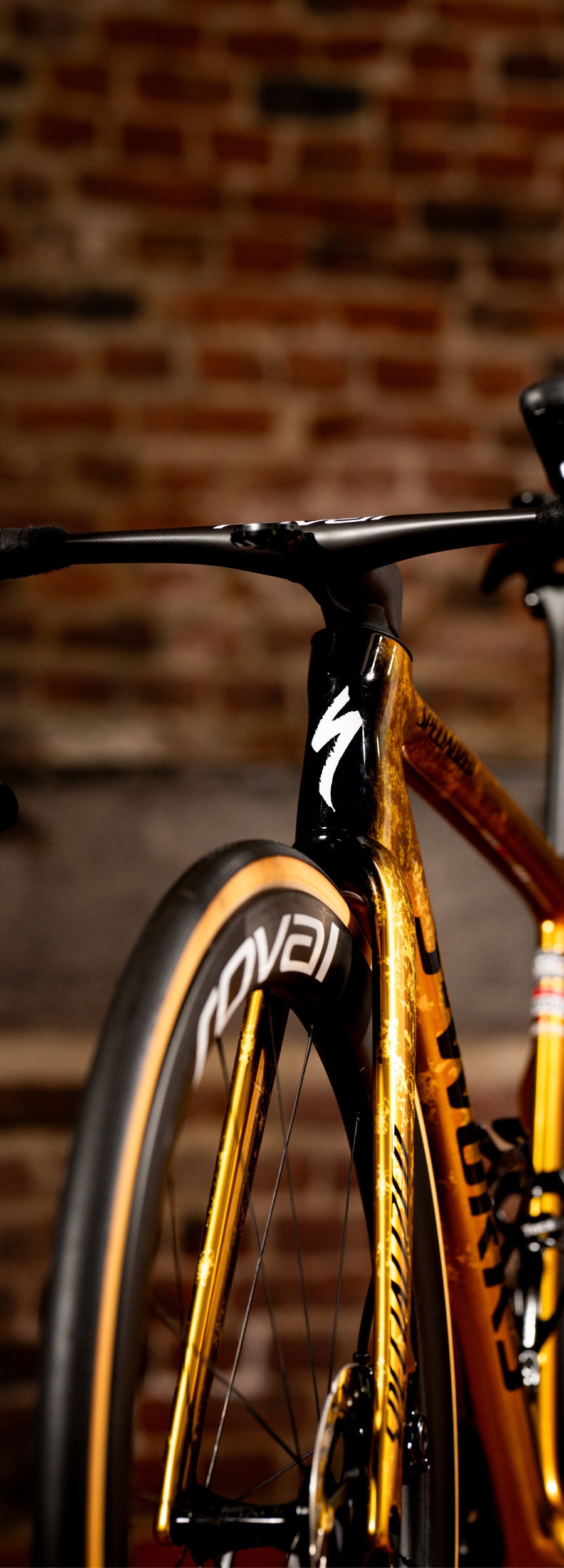 Steed-Cycles-Specialized-Tarmac-Mobile.jpg