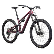 Specialized Stumpjumper 15 EVO Expert