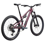 Specialized Stumpjumper 15 EVO Expert