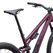 Specialized Stumpjumper 15 EVO Expert