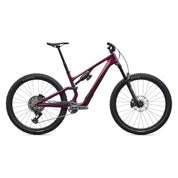 Specialized Stumpjumper 15 EVO Expert