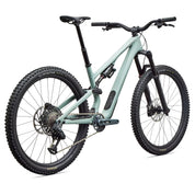 Specialized Stumpjumper 15 EVO Expert