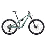 Specialized Stumpjumper 15 EVO Expert
