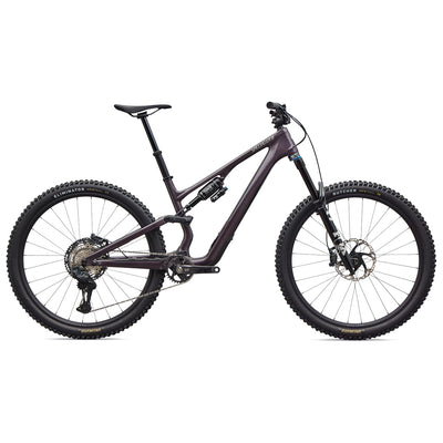 Specialized Stumpjumper 15 EVO Expert Di2
