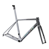 Giant TCR Advanced SL Frameset