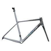 Giant TCR Advanced SL Frameset