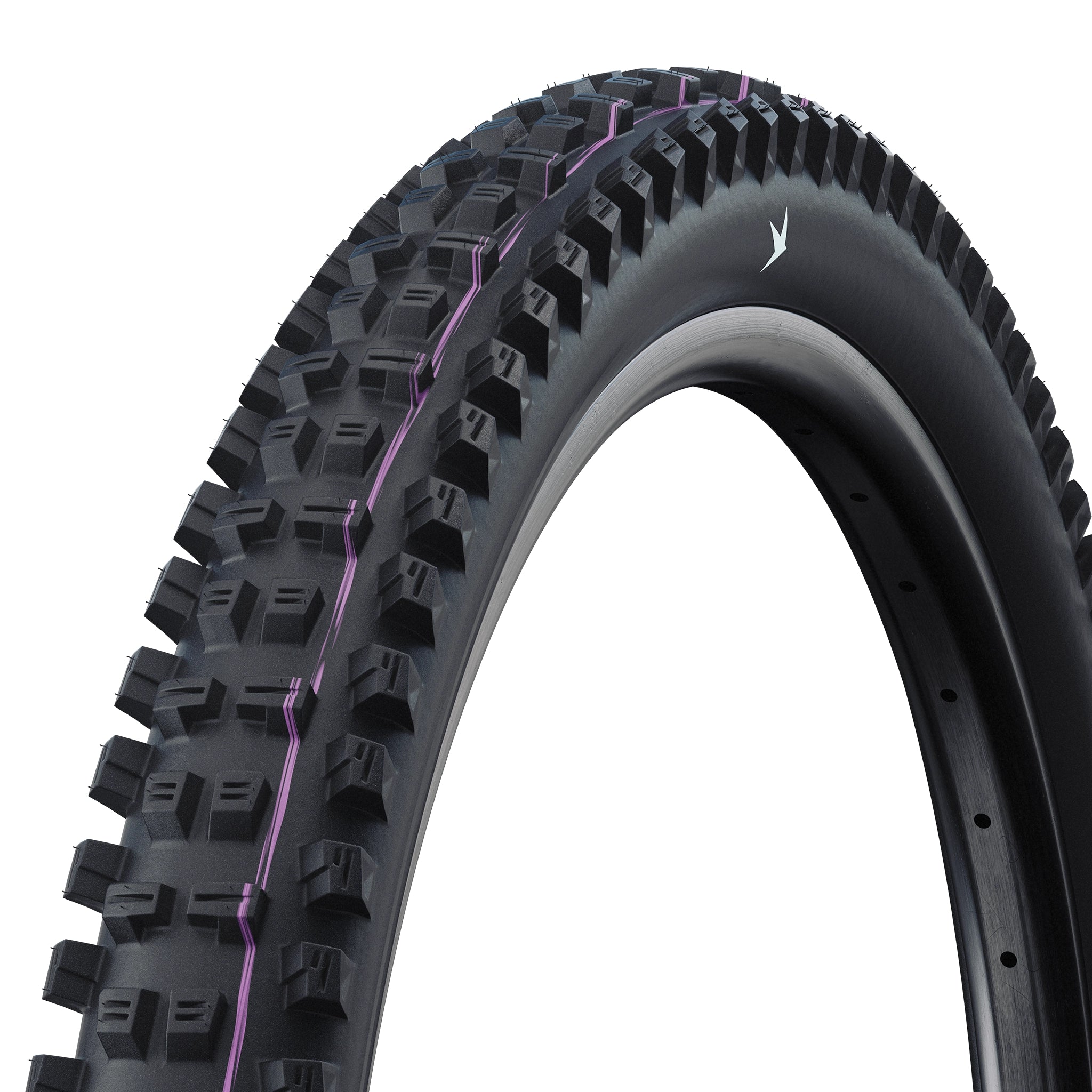 Schwalbe Tacky Chan Radial