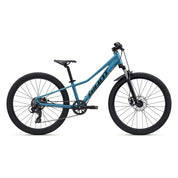 Giant Talon 24 Disc