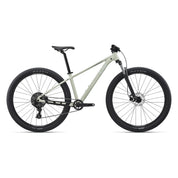 Liv Tempt 4 29