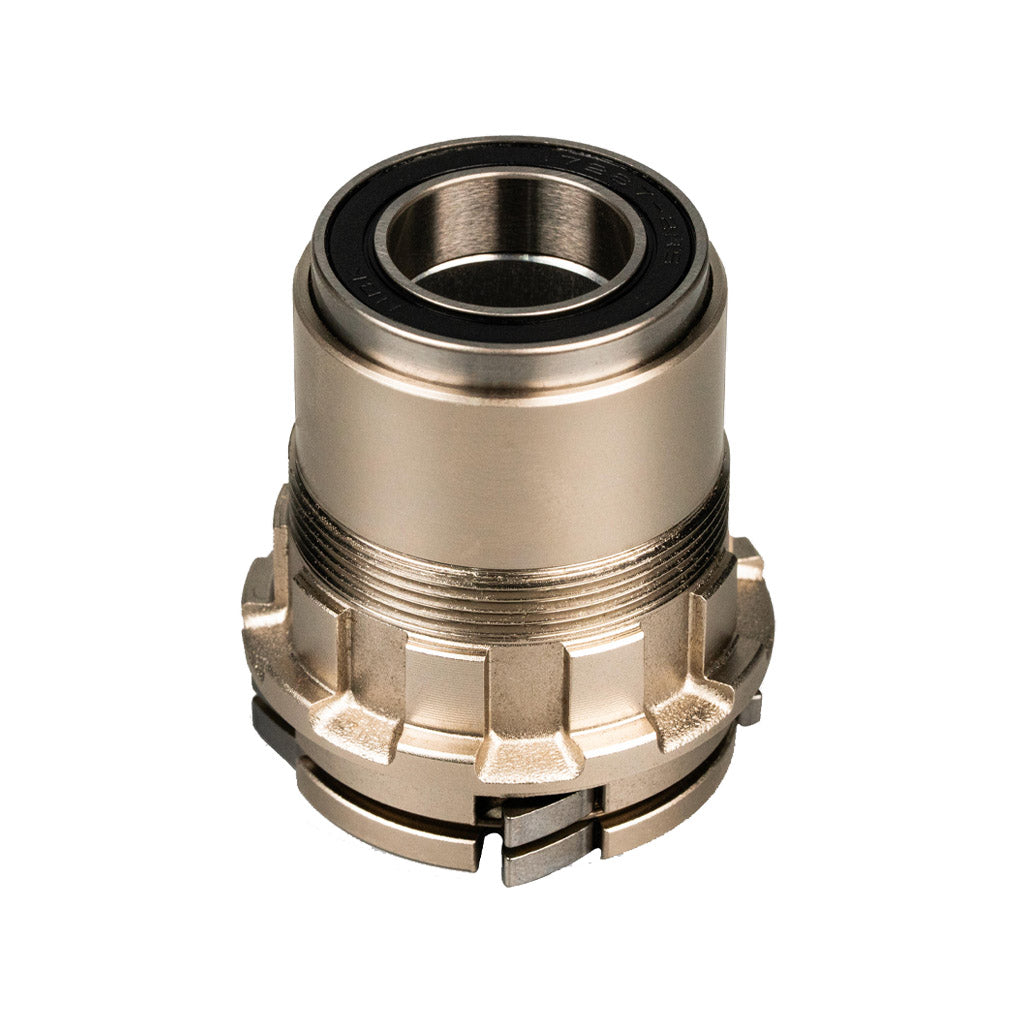 Corps de moyeu libre Van Rysel D100/500V2 & RCR XDR