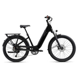 Giant Vida EX E+