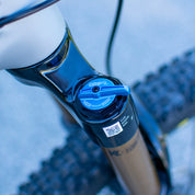 Santa Cruz Blur 4 CC 29 X0 AXS TR Reserve (Custom)
