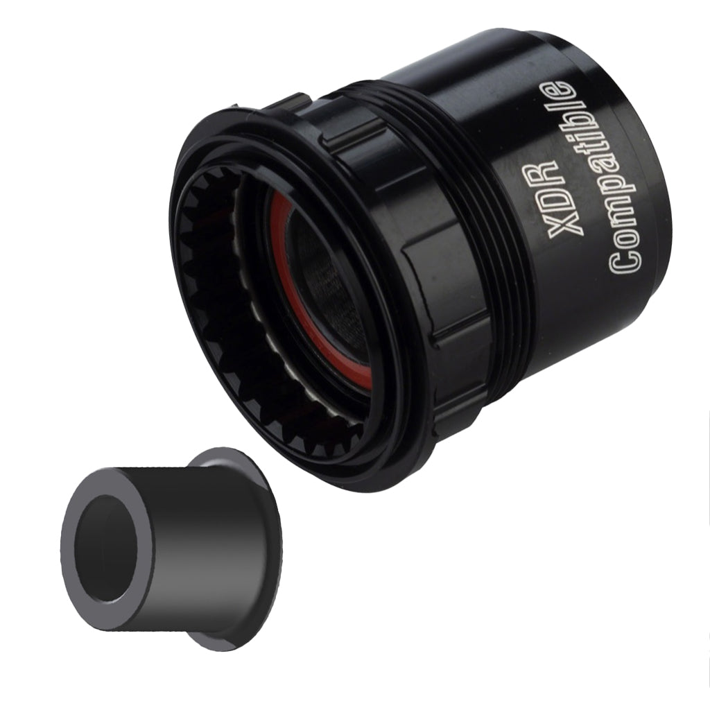 DT Swiss Ratchet Freehubs – Steed Cycles