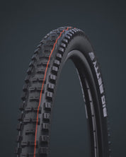 Schwalbe Big Betty