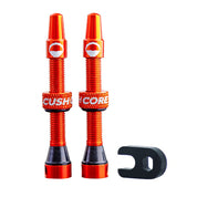 Ensemble de valves Presta Cushcore 44mm