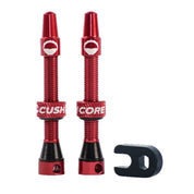 Ensemble de valves Presta Cushcore 44mm