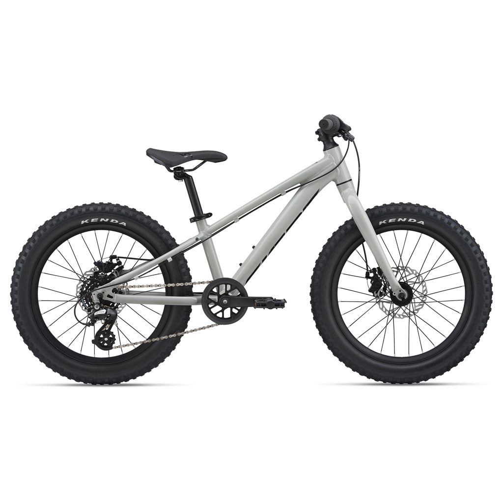 Giant 2022 STP 20" - Steed Cycles