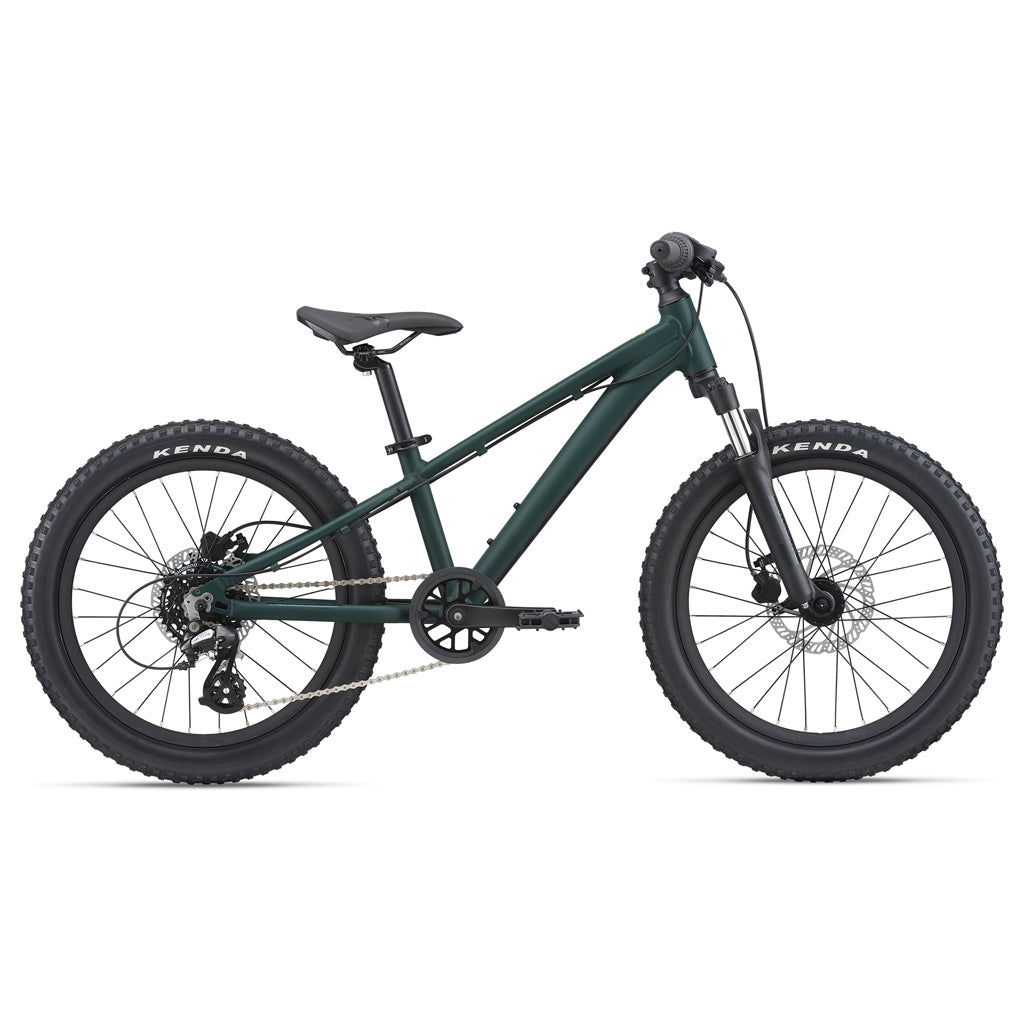 Giant 2022 STP 20" FS - Steed Cycles