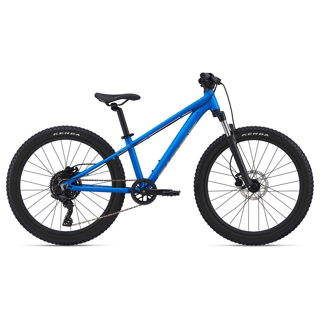 Giant 2022 STP 24" FS - Steed Cycles