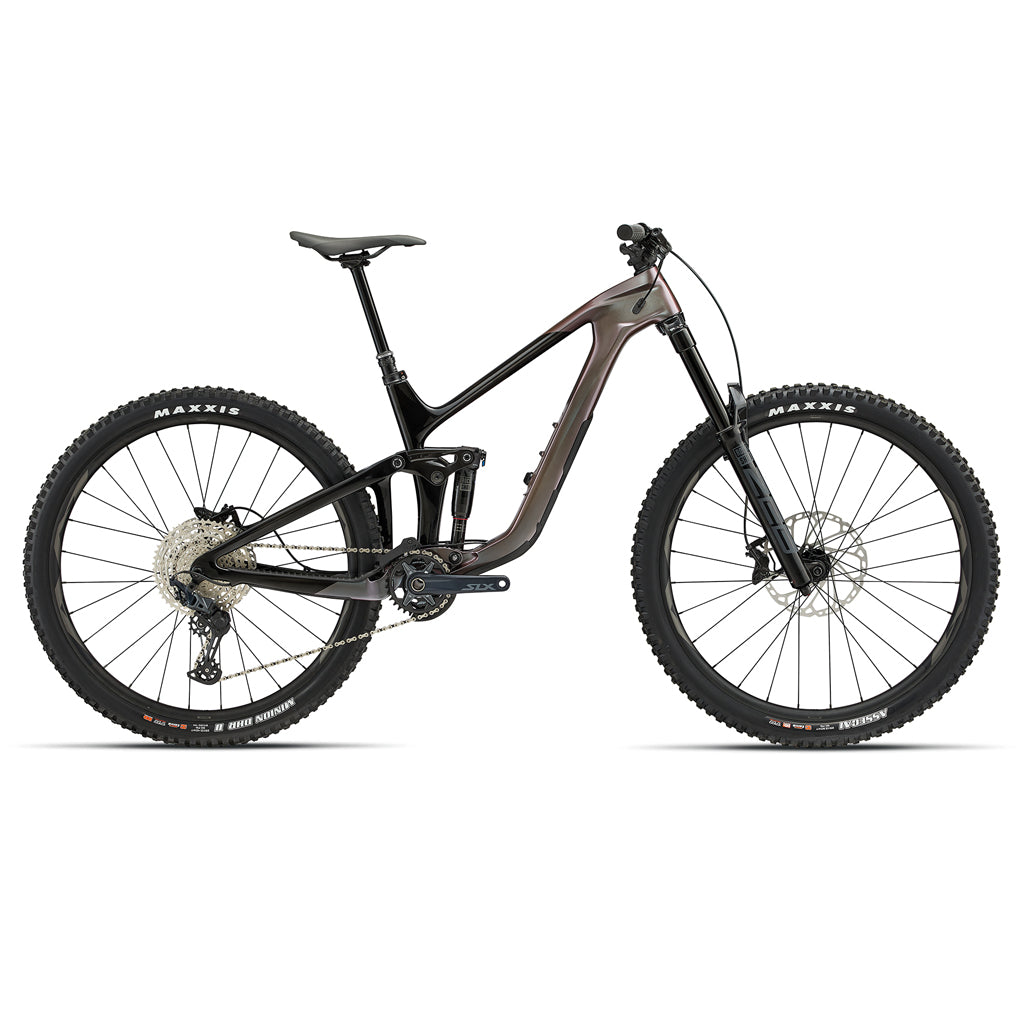 Giant Reign Advanced Pro 2